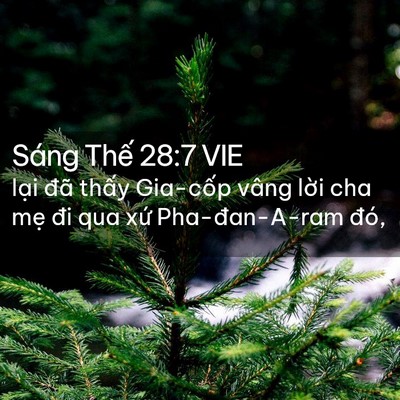 Picture 02 - Sáng Thế 28:7 VIE - lại đã thấy Gia-cốp vâng lời cha mẹ - Bible Verse Picture