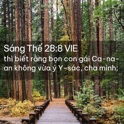 Picture 02 - Sáng Thế 28:8 VIE - thì biết rằng bọn con gái Ca-na-an không - Bible Verse Picture