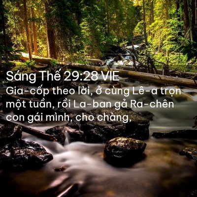 Picture 02 - Sáng Thế 29:28 VIE - Gia-cốp theo lời, ở cùng Lê-a trọn - Bible Verse Picture