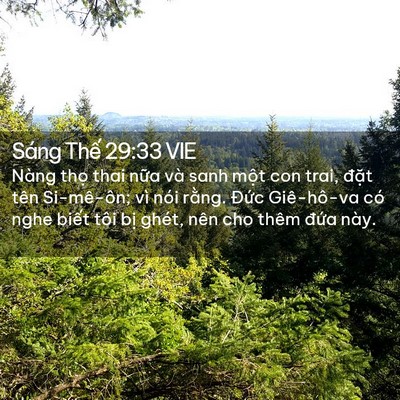 Picture 02 - Sáng Thế 29:33 VIE - Nàng thọ thai nữa và sanh một con trai, - Bible Verse Picture