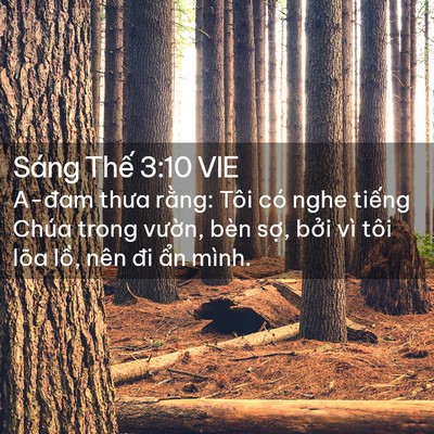 Picture 02 - Sáng Thế 3:10 VIE - A-đam thưa rằng: Tôi có nghe tiếng Chúa - Bible Verse Picture