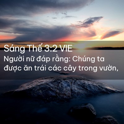 Picture 02 - Sáng Thế 3:2 VIE - Người nữ đáp rằng: Chúng ta được - Bible Verse Picture