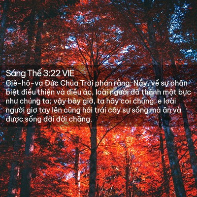 Picture 02 - Sáng Thế 3:22 VIE - Giê-hô-va Đức Chúa Trời phán rằng: - Bible Verse Picture