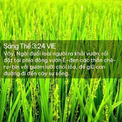 Picture 02 - Sáng Thế 3:24 VIE - Vậy, Ngài đuổi loài người ra khỏi - Bible Verse Picture