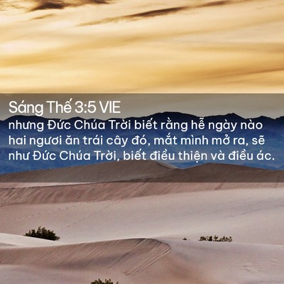 Picture 02 - Sáng Thế 3:5 VIE - nhưng Đức Chúa Trời biết rằng hễ - Bible Verse Picture