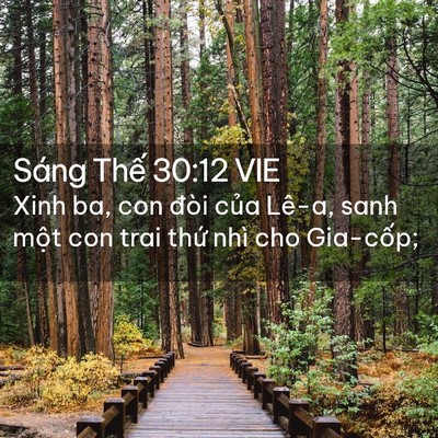 Picture 02 - Sáng Thế 30:12 VIE - Xinh ba, con đòi của Lê-a, sanh một con - Bible Verse Picture