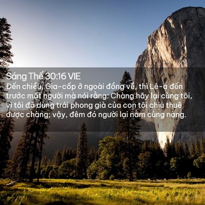 Picture 02 - Sáng Thế 30:16 VIE - Đến chiều, Gia-cốp ở ngoài đồng - Bible Verse Picture