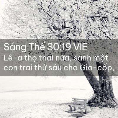 Picture 02 - Sáng Thế 30:19 VIE - Lê-a thọ thai nữa, sanh một con trai thứ - Bible Verse Picture