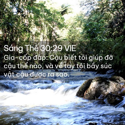 Picture 02 - Sáng Thế 30:29 VIE - Gia-cốp đáp: Cậu biết tôi giúp đỡ - Bible Verse Picture