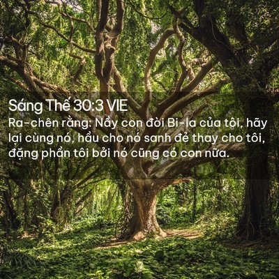Picture 02 - Sáng Thế 30:3 VIE - Ra-chên rằng: Nầy con đòi Bi-la của - Bible Verse Picture