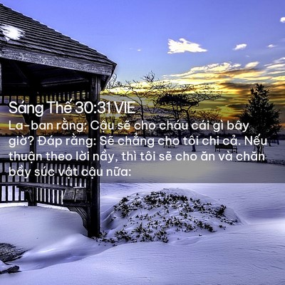 Picture 02 - Sáng Thế 30:31 VIE - La-ban rằng: Cậu sẽ cho cháu cái gì bây - Bible Verse Picture