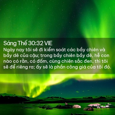 Picture 02 - Sáng Thế 30:32 VIE - Ngày nay tôi sẽ đi kiểm soát các bầy - Bible Verse Picture