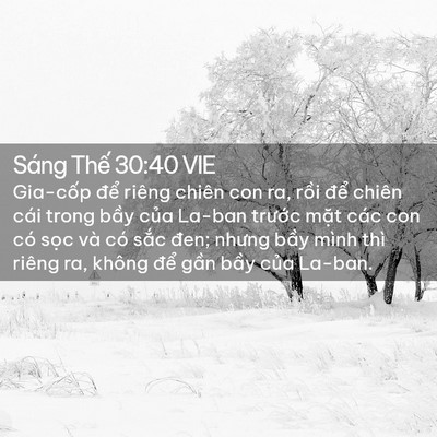 Picture 02 - Sáng Thế 30:40 VIE - Gia-cốp để riêng chiên con ra, rồi để - Bible Verse Picture