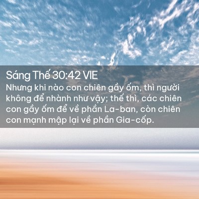 Picture 02 - Sáng Thế 30:42 VIE - Nhưng khi nào con chiên gầy ốm, thì - Bible Verse Picture