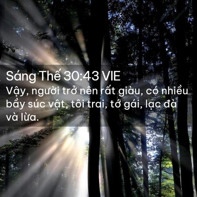 Picture 02 - Sáng Thế 30:43 VIE - Vậy, người trở nên rất giàu, có - Bible Verse Picture