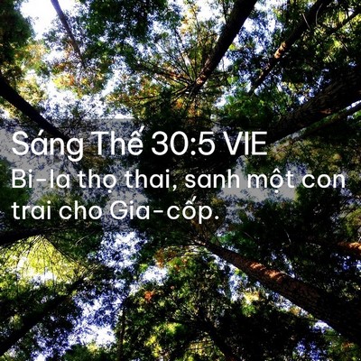 Picture 02 - Sáng Thế 30:5 VIE - Bi-la thọ thai, sanh một con trai cho - Bible Verse Picture