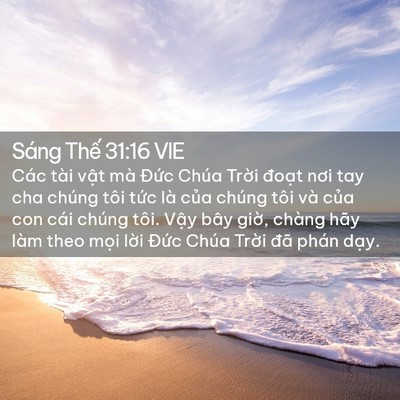 Picture 02 - Sáng Thế 31:16 VIE - Các tài vật mà Đức Chúa Trời đoạt - Bible Verse Picture