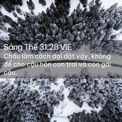 Picture 02 - Sáng Thế 31:28 VIE - Cháu làm cách dại dột vậy, không để - Bible Verse Picture