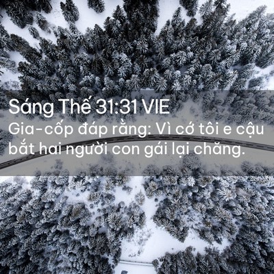 Picture 02 - Sáng Thế 31:31 VIE - Gia-cốp đáp rằng: Vì cớ tôi e cậu - Bible Verse Picture