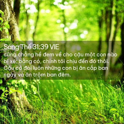 Picture 02 - Sáng Thế 31:39 VIE - cũng chẳng hề đem về cho cậu một con - Bible Verse Picture