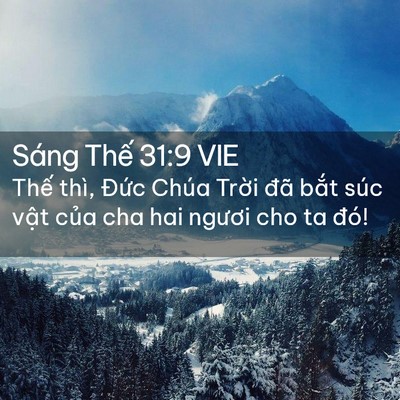 Picture 02 - Sáng Thế 31:9 VIE - Thế thì, Đức Chúa Trời đã bắt súc - Bible Verse Picture