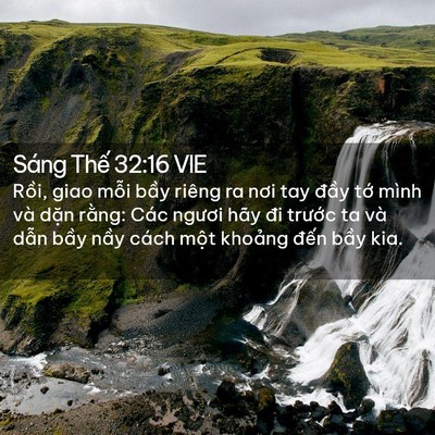Picture 02 - Sáng Thế 32:16 VIE - Rồi, giao mỗi bầy riêng ra nơi tay đầy - Bible Verse Picture