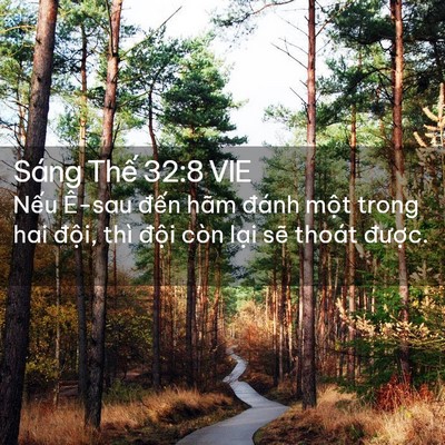 Picture 02 - Sáng Thế 32:8 VIE - Nếu Ê-sau đến hãm đánh một trong hai - Bible Verse Picture
