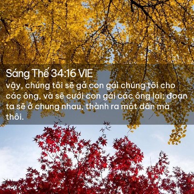 Picture 02 - Sáng Thế 34:16 VIE - vậy, chúng tôi sẽ gả con gái chúng tôi - Bible Verse Picture