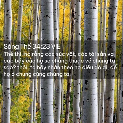 Picture 02 - Sáng Thế 34:23 VIE - Thế thì, há rằng các súc vật, các tài - Bible Verse Picture