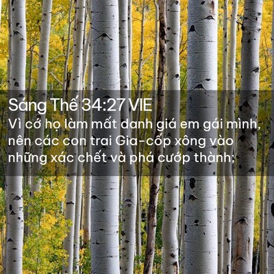 Picture 02 - Sáng Thế 34:27 VIE - Vì cớ họ làm mất danh giá em gái mình, - Bible Verse Picture