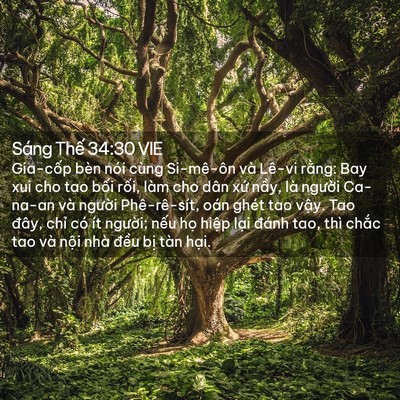 Picture 02 - Sáng Thế 34:30 VIE - Gia-cốp bèn nói cùng Si-mê-ôn và Lê-vi - Bible Verse Picture