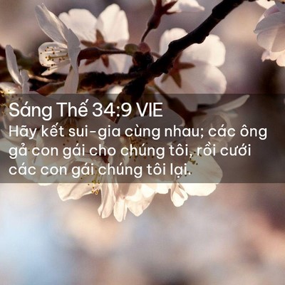 Picture 02 - Sáng Thế 34:9 VIE - Hãy kết sui-gia cùng nhau; các ông gả con - Bible Verse Picture