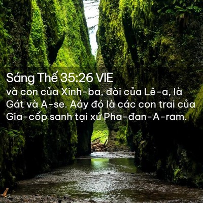 Picture 02 - Sáng Thế 35:26 VIE - và con của Xinh-ba, đòi của Lê-a, là - Bible Verse Picture