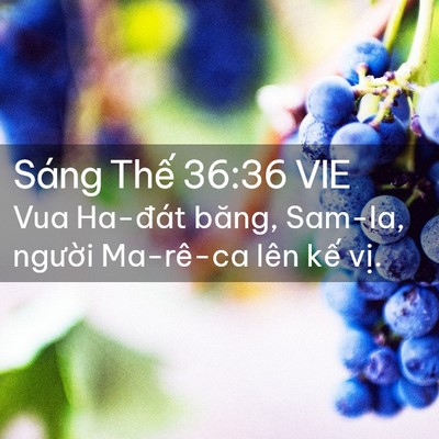 Picture 02 - Sáng Thế 36:36 VIE - Vua Ha-đát băng, Sam-la, người Ma-rê-ca - Bible Verse Picture