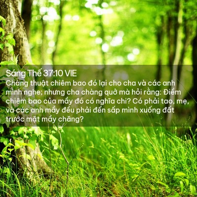 Picture 02 - Sáng Thế 37:10 VIE - Chàng thuật chiêm bao đó lại cho cha và - Bible Verse Picture