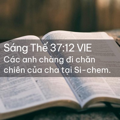 Picture 02 - Sáng Thế 37:12 VIE - Các anh chàng đi chăn chiên của cha tại - Bible Verse Picture