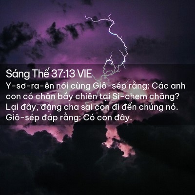 Picture 02 - Sáng Thế 37:13 VIE - Y-sơ-ra-ên nói cùng Giô-sép rằng: Các - Bible Verse Picture