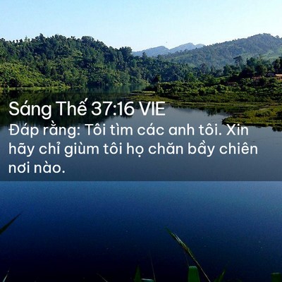 Picture 02 - Sáng Thế 37:16 VIE - Đáp rằng: Tôi tìm các anh tôi. Xin hãy - Bible Verse Picture