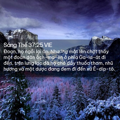 Picture 02 - Sáng Thế 37:25 VIE - Đoạn, họ ngồi lại ăn. Nhướng mắt - Bible Verse Picture