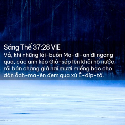 Picture 02 - Sáng Thế 37:28 VIE - Vả, khi những lái-buôn Ma-đi-an đi ngang - Bible Verse Picture