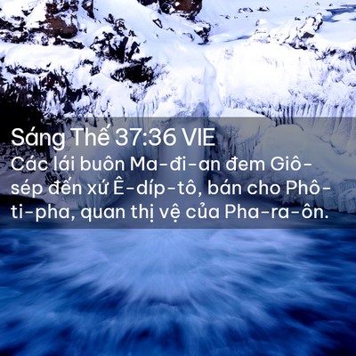 Picture 02 - Sáng Thế 37:36 VIE - Các lái buôn Ma-đi-an đem Giô-sép đến - Bible Verse Picture