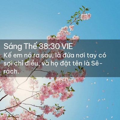Picture 02 - Sáng Thế 38:30 VIE - Kế em nó ra sau, là đứa nơi tay có sợi - Bible Verse Picture