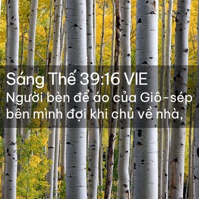 Picture 02 - Sáng Thế 39:16 VIE - Người bèn để áo của Giô-sép bên - Bible Verse Picture