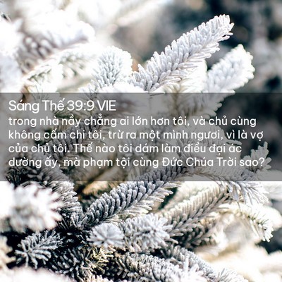 Picture 02 - Sáng Thế 39:9 VIE - trong nhà nầy chẳng ai lớn hơn tôi, và - Bible Verse Picture