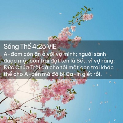 Picture 02 - Sáng Thế 4:25 VIE - A-đam còn ăn ở với vợ mình; người - Bible Verse Picture