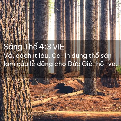 Picture 02 - Sáng Thế 4:3 VIE - Vả, cách ít lâu, Ca-in dùng thổ sản - Bible Verse Picture