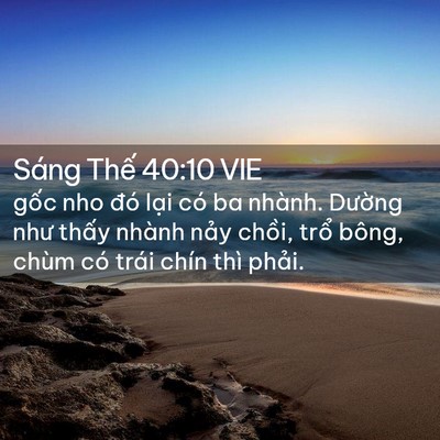 Picture 02 - Sáng Thế 40:10 VIE - gốc nho đó lại có ba nhành. Dường như - Bible Verse Picture