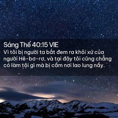 Picture 02 - Sáng Thế 40:15 VIE - Vì tôi bị người ta bắt đem ra khỏi - Bible Verse Picture