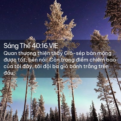 Picture 02 - Sáng Thế 40:16 VIE - Quan thượng thiện thấy Giô-sép bàn - Bible Verse Picture
