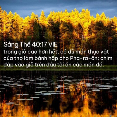 Picture 02 - Sáng Thế 40:17 VIE - trong giỏ cao hơn hết, có đủ món thực - Bible Verse Picture